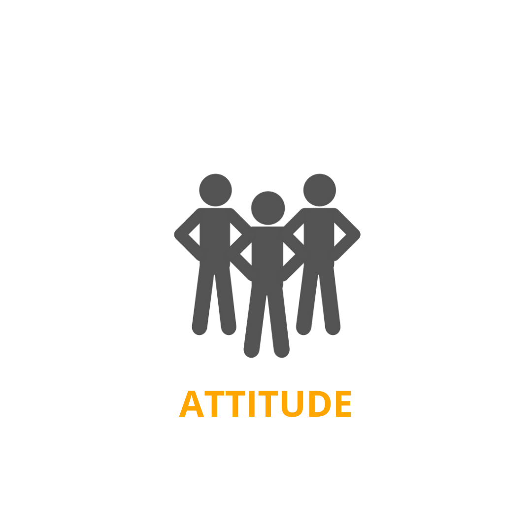 Think Attitude - valores